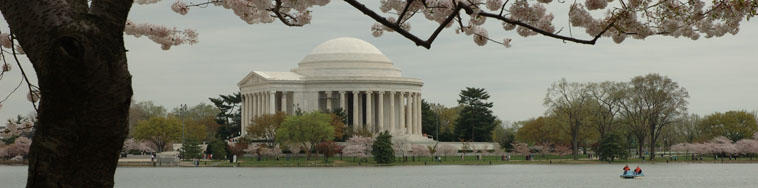 This is a view of the Jefferson Memorial at cherry blossem time.